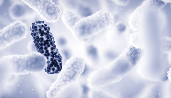 Oxford-led study shows how AI can detect antibiotic resistance in as little as 30 minutes 