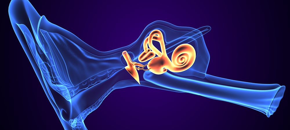 Terahertz imaging: A breakthrough in non-invasive cochlear visualisation 